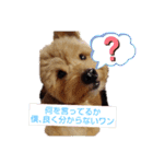 古川綾音のオリジナルスタンプ（個別スタンプ：16）