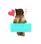 古川綾音のオリジナルスタンプ（個別スタンプ：21）