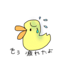 ひよこじゃないよアヒルだよ（個別スタンプ：20）