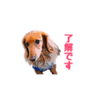 こうちゃんとココちゃん（個別スタンプ：5）