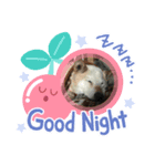 みーさま、くーさま（個別スタンプ：2）
