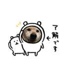 みーさま、くーさま（個別スタンプ：3）