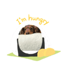 みーさま、くーさま（個別スタンプ：5）