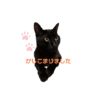 黒猫みるくが今日も元気にお手伝い（個別スタンプ：3）