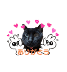 黒猫みるくが今日も元気にお手伝い（個別スタンプ：4）