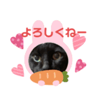 黒猫みるくが今日も元気にお手伝い（個別スタンプ：8）
