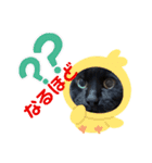 黒猫みるくが今日も元気にお手伝い（個別スタンプ：10）