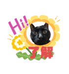 黒猫みるくが今日も元気にお手伝い（個別スタンプ：11）
