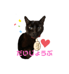 黒猫みるくが今日も元気にお手伝い（個別スタンプ：14）