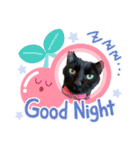 黒猫みるくが今日も元気にお手伝い（個別スタンプ：20）
