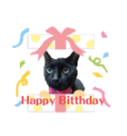 黒猫みるくが今日も元気にお手伝い（個別スタンプ：23）