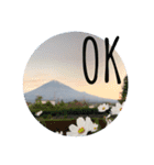 富士山パート6（個別スタンプ：8）