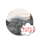 富士山パート6（個別スタンプ：13）
