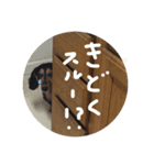 関西弁ミニチュアダックスのそらちゃん（個別スタンプ：4）