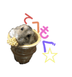 ハムスターあんこ vol.1（個別スタンプ：2）