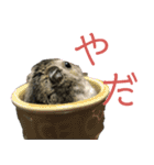 ハムスターあんこ vol.1（個別スタンプ：9）