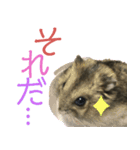 ハムスターあんこ vol.1（個別スタンプ：17）