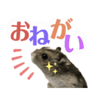 ハムスターあんこ vol.1（個別スタンプ：26）