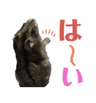 ハムスターあんこ vol.1（個別スタンプ：37）