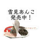 ハムスターあんこ vol.1（個別スタンプ：38）