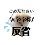 ポメラニアンAndyのLIFESTAMPS1（個別スタンプ：5）
