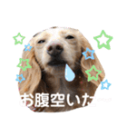 マリオ姉弟（個別スタンプ：10）