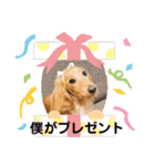 マリオ姉弟（個別スタンプ：30）