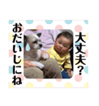 こめたろうとおかゆのスタンプ（個別スタンプ：18）