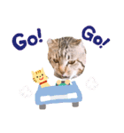 たまちゃん スタンプ4（個別スタンプ：8）
