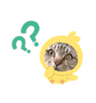 たまちゃん スタンプ4（個別スタンプ：9）