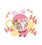 たまちゃん スタンプ4（個別スタンプ：22）