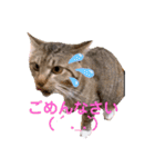 たまちゃん スタンプ4（個別スタンプ：32）
