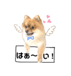 コロンスタンプ3（個別スタンプ：9）