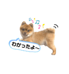 コロンスタンプ3（個別スタンプ：10）