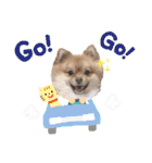 コロンスタンプ3（個別スタンプ：25）