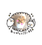 コロンスタンプ3（個別スタンプ：37）