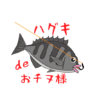 黒鯛落とし込み（個別スタンプ：10）