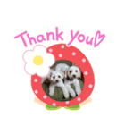 あさdog1（個別スタンプ：6）