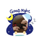 あさdog1（個別スタンプ：7）