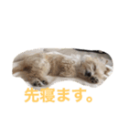 ロッティ1（個別スタンプ：2）