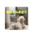 ロッティ1（個別スタンプ：4）