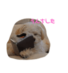 ロッティ1（個別スタンプ：7）