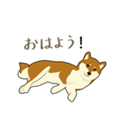 Pockyは柴犬です。(日本語)（個別スタンプ：7）