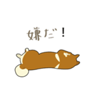 Pockyは柴犬です。(日本語)（個別スタンプ：9）