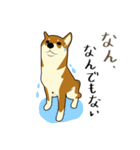 Pockyは柴犬です。(日本語)（個別スタンプ：24）