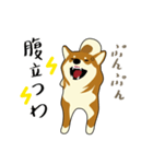 Pockyは柴犬です。(日本語)（個別スタンプ：26）