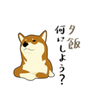 Pockyは柴犬です。(日本語)（個別スタンプ：32）