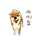 Pockyは柴犬です。(日本語)（個別スタンプ：33）