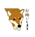 Pockyは柴犬です。(日本語)（個別スタンプ：34）