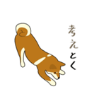 Pockyは柴犬です。(日本語)（個別スタンプ：36）